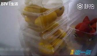 网红加哆宝黑料